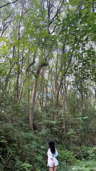 93c443fd95d6cdb6828420dd5656ecbbd167c0783422ae0685780e29275ecc32 thumbnail