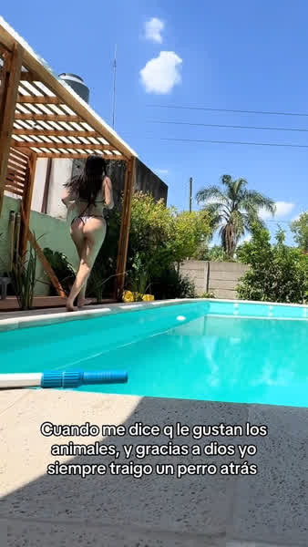 d81569a333924f12acc98e28d428a0c0decb1ca0ed6638f574254fbb8a30672c thumbnail