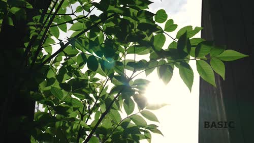 33712619955924751137604663682716743785 thumbnail