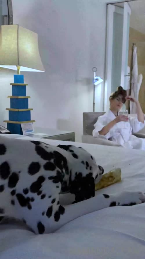 258935762880434845180953247251229723413 thumbnail