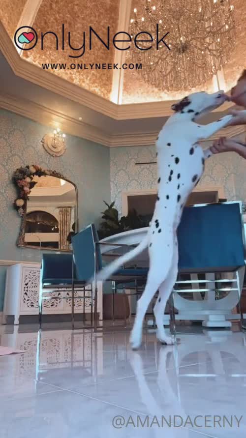 75537411254732080356094776693181649578 thumbnail