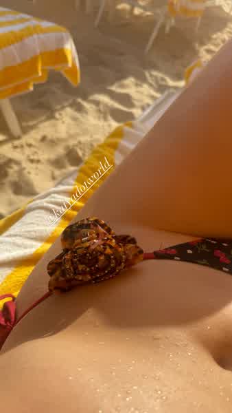 225ce590c2cf14c44723037e65b1a1d7ba84d94a60491dd9c39aaa7f9048ca17 thumbnail