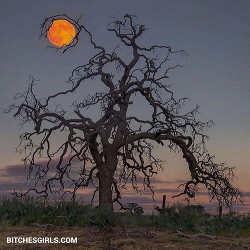 50069269148896361730949986103159265925 thumbnail