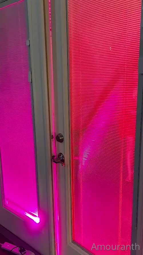 59e123380ebd1f9c3ff1e7e3ec9bfc7139a8e18e77d7794a9fafdaa9cc9bb5bb thumbnail