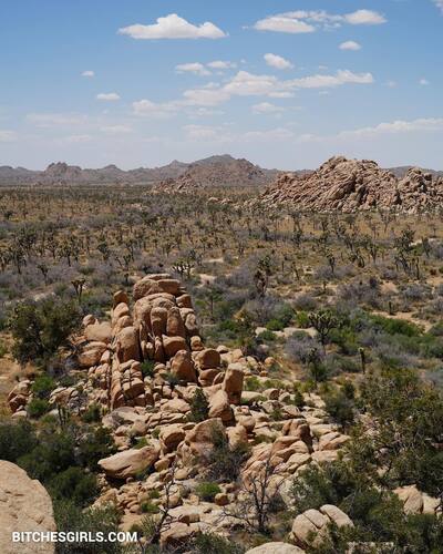 70049284633478029316514369946374809318 thumbnail