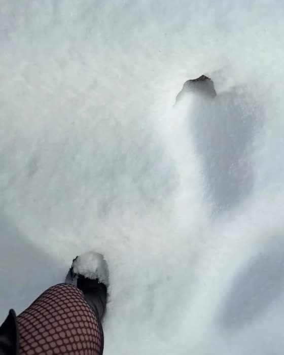 80a05ce4b06ffffa700eef8ca82510afe360e38a55c993ecce5ba4f5653035f8 thumbnail