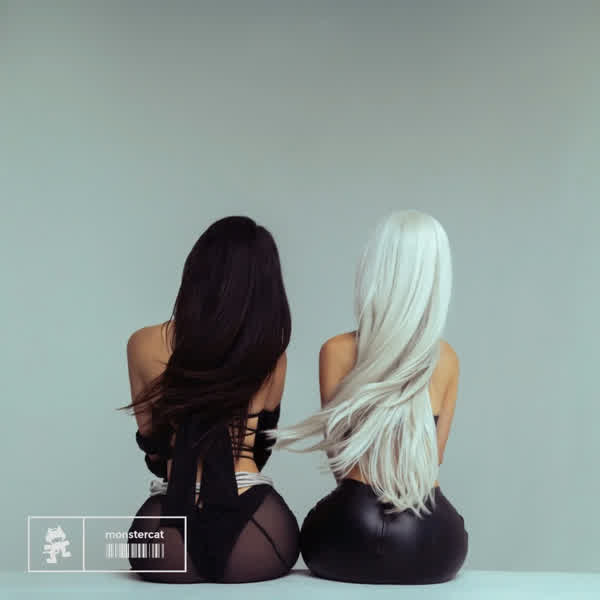 e94869a7cf0a1912df00ad88483316c99b749763b7a16e8394c4b335a22c0356 thumbnail