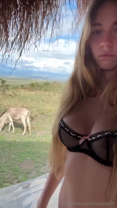 44356ad23493f4cd80e65640c8ff5725cfab9f2ab36169b31df4e63a0bb8ab1e thumbnail