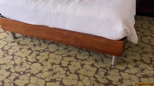 170197439617872074315231541842940259736 thumbnail