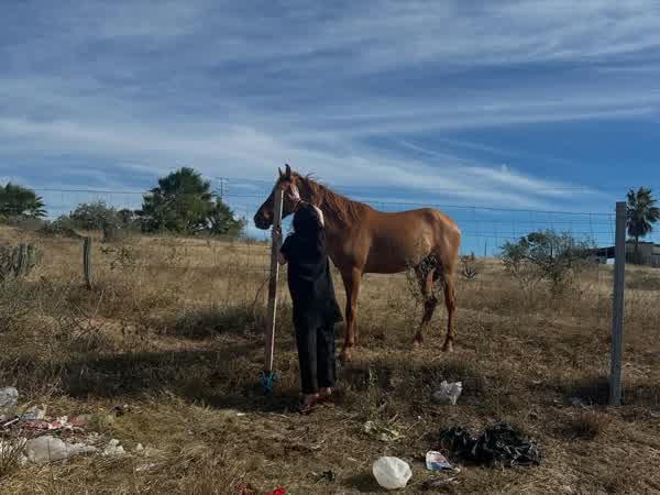 3e01e6743d99197826e7ac8c0ffdd77cd214df3bdc3ae2d1805cc36c7f7c8fa5 thumbnail