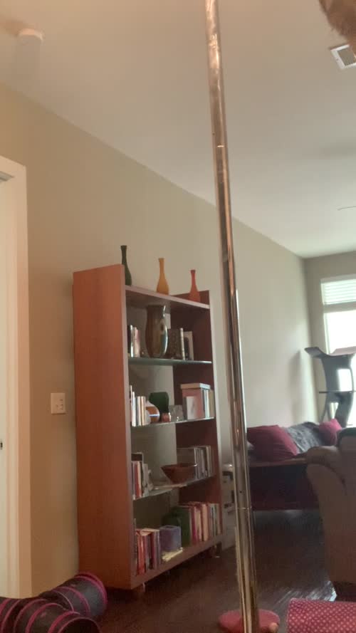 3636c10ab971a3ddcf4271cbc7d577ea88e756927f3dc84785404fa8fd2fae83 thumbnail