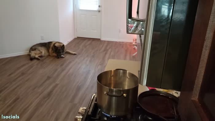 0b675156f37475d7ef9e38c8b4faf82ceab3859d55e141f9c962c063edc2fce4 thumbnail