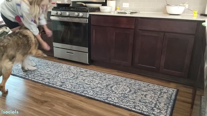 e73701e08dfd9cee6d357f5722bcf43873e496243aa1d510b7b9786ed88db830 thumbnail