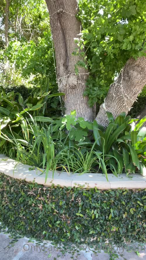 155564515278483404683302731069423259505 thumbnail