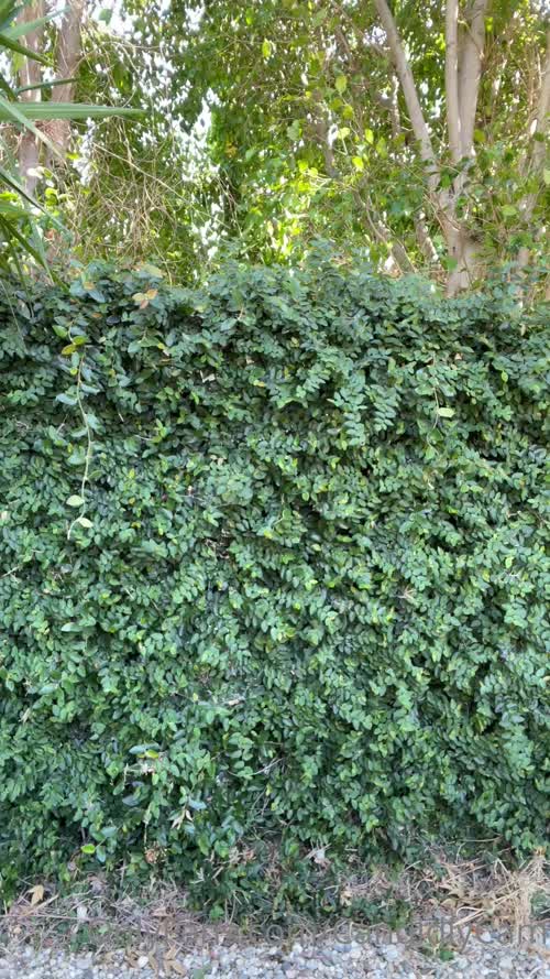 22309443706261225061029341433703225176 thumbnail