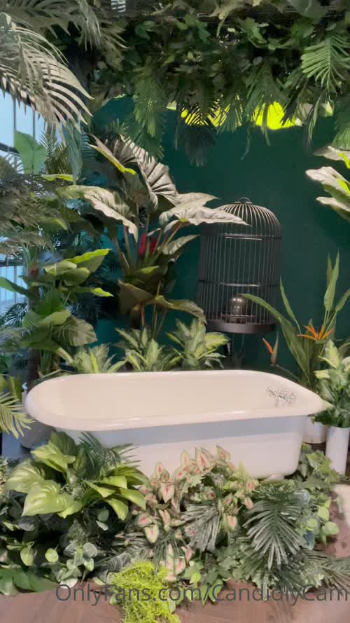 338128652083851589091482230547415566164 thumbnail