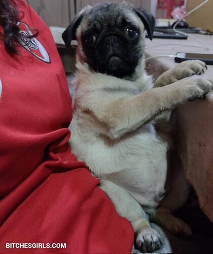 156398354095164159290768057402815790141 thumbnail