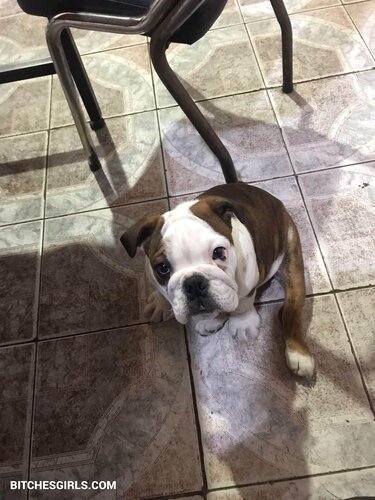 17771938202798749383592632512099524983 thumbnail