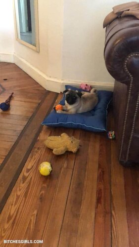 208204575535487349088327122892835028796 thumbnail