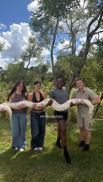 7aedd4adafbc3cf072d3c0b4848e15bec40acaf50c0d90d08ca158d6df94a372 thumbnail