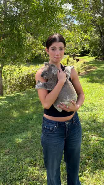 c6ecdf86be5ec7b4887467ad7e67cf0edb1d84b5bdb88ecab71a906771a15ad0 thumbnail