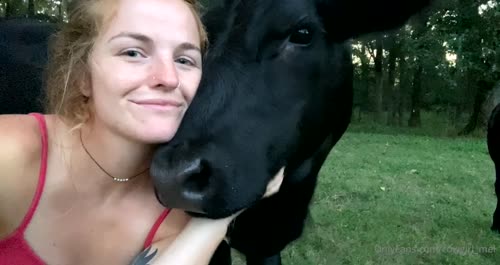 8f0d31f9f924fb50f926dc50fd192f57f631f5511659bb17b2c5ed857193441c thumbnail