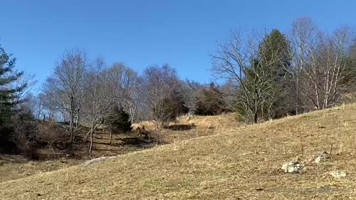 e5054c3f1b71f10b7fa36fcb4bb204286e8cdef91325485196d03f793a394034 thumbnail