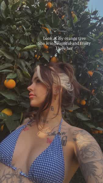 6252ae4d51183c31649e434766afccb4cfbfad584e61c7922c6dc17ef9d59784 thumbnail