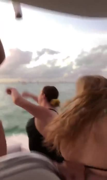 ce077983f844650aaf0ec197c0330391c8cd818d63975649a022a2fab9bad525 thumbnail