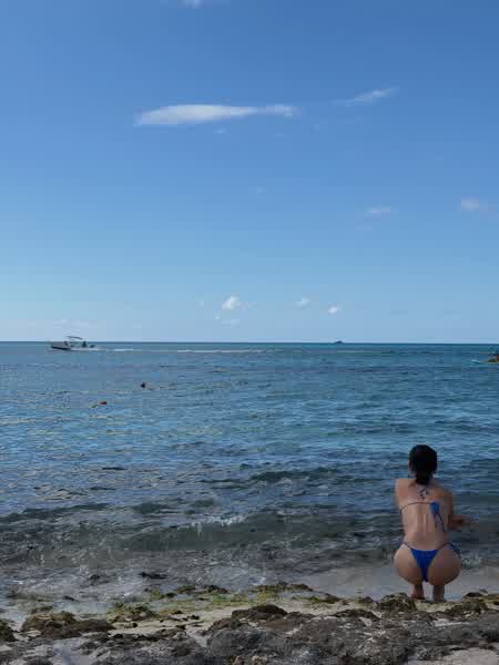 9e84ebac497e58e2c81fef84b677ced70c91482cf0ad3468db9f71b367725f26 thumbnail