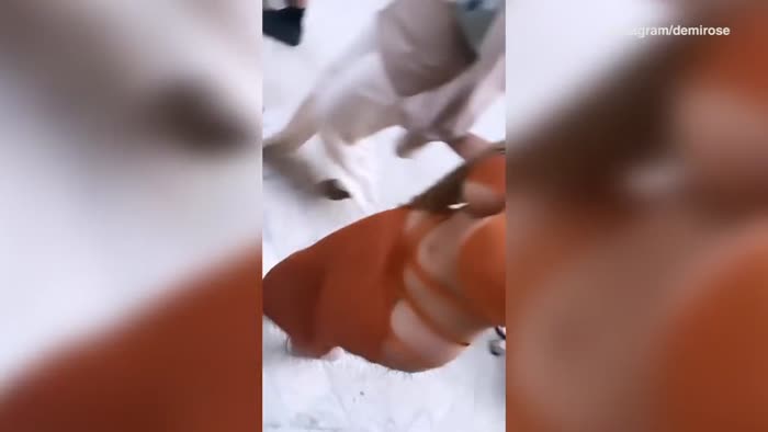 97a764cfb5fd22c01c48e0d7e8ed9e99725eb357037e87261e1c7b5f60f67a95 thumbnail