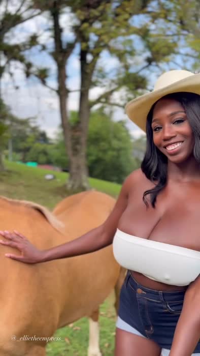 6a31d2711945287ccbf63f54a3ce665012a7e056c030f7d4979c8d70853854ac thumbnail