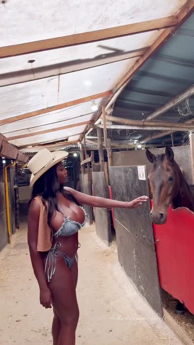 8ae0d7958c46131ce987993144c2767e0ccc18f80fa7da9e4996465d7f140443 thumbnail