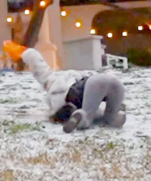 4f0902f804e0ae83e8a09699f3ce1bd71368ac2227e7b9083f0c5b26cd7707d9 thumbnail