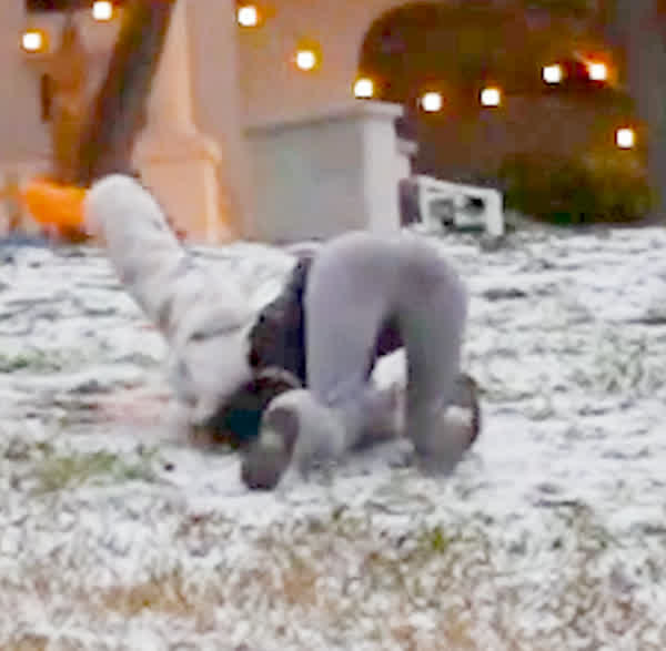 735eb19468d94a8580d8b7ee6c5aa0020bbcf9a00a5514e8a233c21792eb829c thumbnail