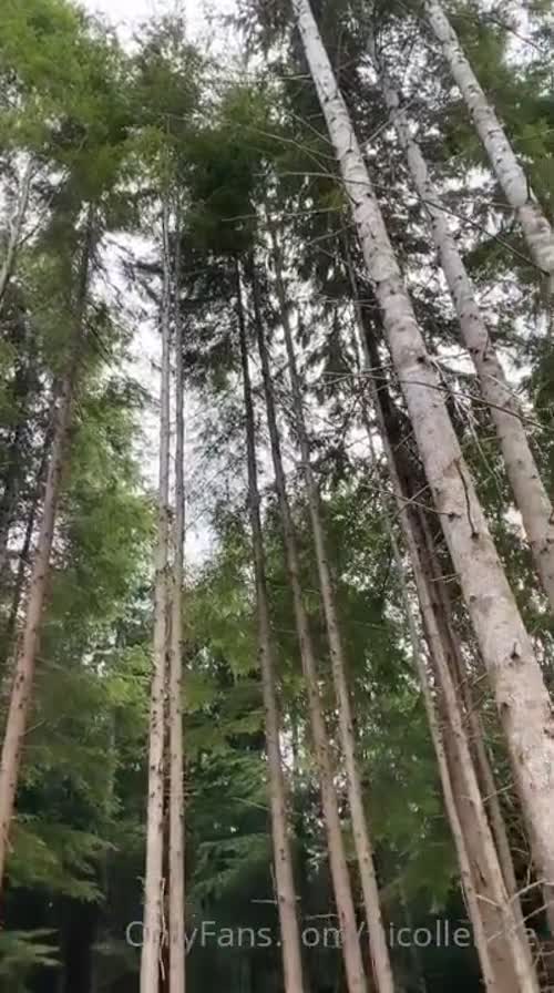 332430932209983477335486320015028222108 thumbnail