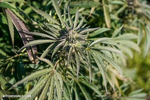 161199316924269027371197273695498319727 thumbnail