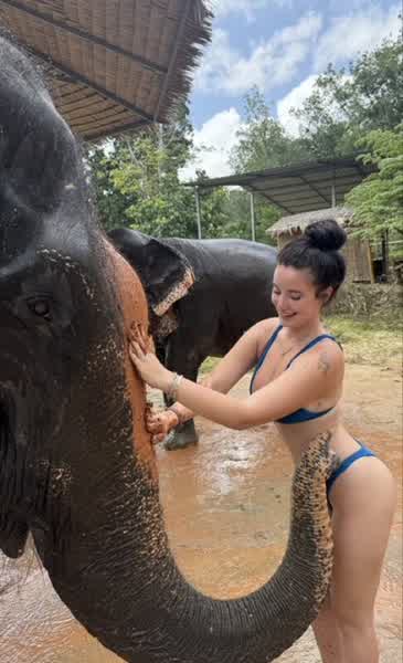 ee2b983b27439cda6f27ac96d288ae84beb3a5a24afdb9841009bc3c0869208f thumbnail