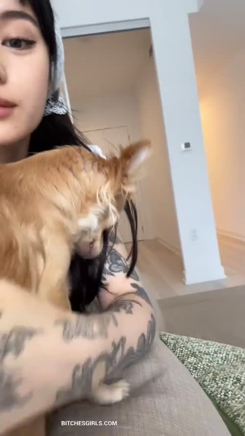 bb6c9f9c3dffa1dfba890c9ae503bebea9a933656f23ee6706f2d3495b48c643 thumbnail