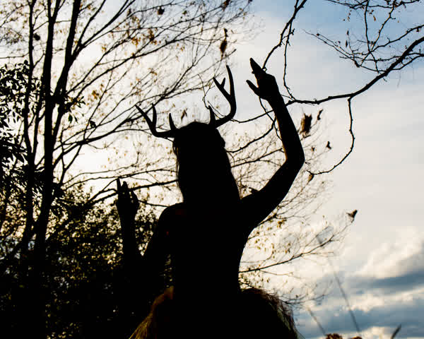 17638df1a6c3f3350e69986ca135c13b0a780b45a9d1a63dfc88eda0469957df thumbnail