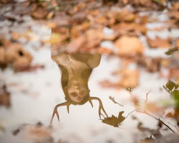 83d85a03e5a1cc922bd9e1a2b67a8e18e43c3c6f2cf91cf6f87ca486fdf18e50 thumbnail