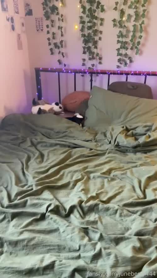 217657183827134586905459380548314082176 thumbnail