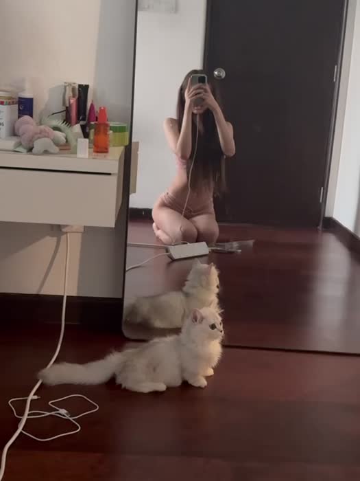 d88c1232d51c8eb527ebc755c70055ae7c31bea2ead175a50aae78c1c5c1af0f thumbnail