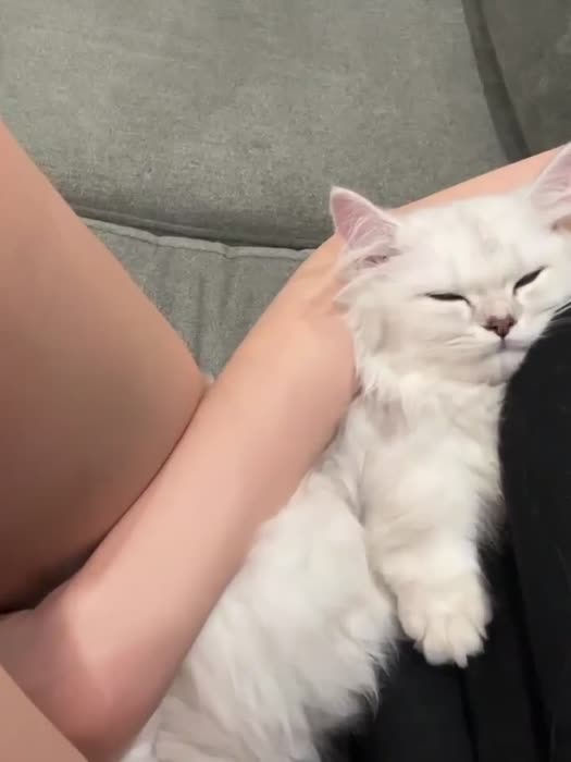 e5ef9a1acf966d10248adf07baf5d03764e39cc652ae49321cdc909279a91937 thumbnail