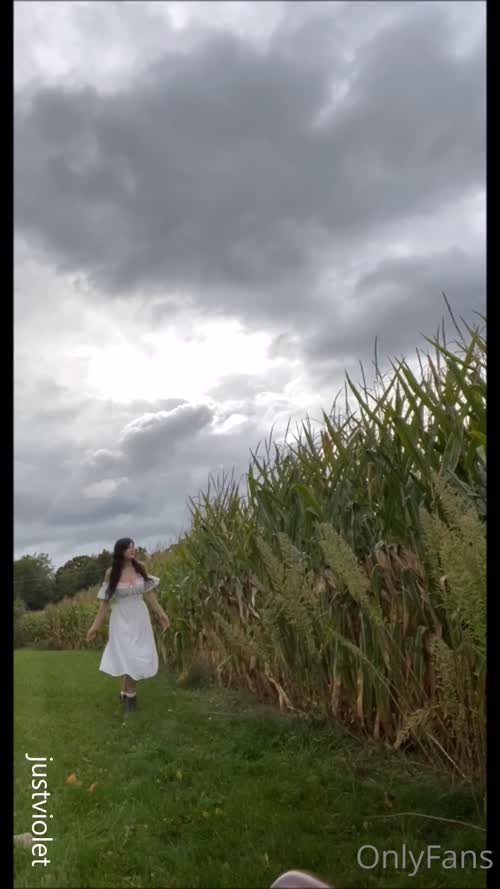 846162ea2af5d026b27421ab8a9049c20d17cb283e047f82e96911cd50843ec9 thumbnail