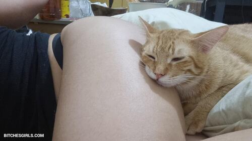 9548649607945571829219559052277879397 thumbnail