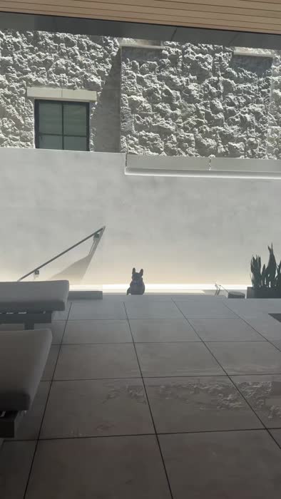 bbfd3ec7f04e156133f22b54c24baecfcd6664678c60286000478549ac6b7c65 thumbnail