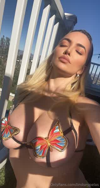 bddae621a6b55c444e396b0260a2ea90f93bd291cf5f42ad1ec8cec0ca928e44 thumbnail