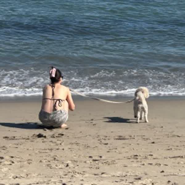 954617fbf5da1d33150928ce402075c6662d1d0373a418863e0e5e853f44e8c5 thumbnail