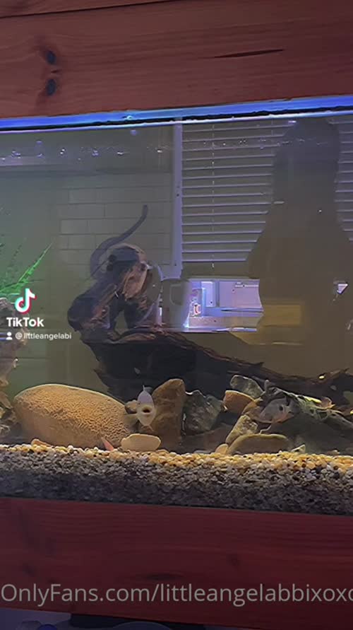 4e9d871f11edbff04ee8701aa8a3c26e9ff15ab2c0d1c2404319908fdb77a7e2 thumbnail